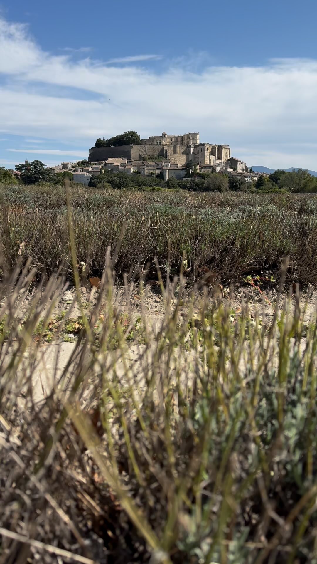 Wedding today @the_w_day